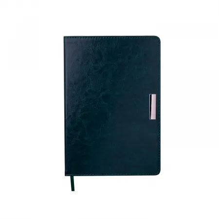 Щоденник SALERNO A зелений