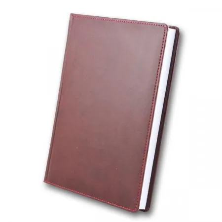 WINNER щоденник дат А бордовий