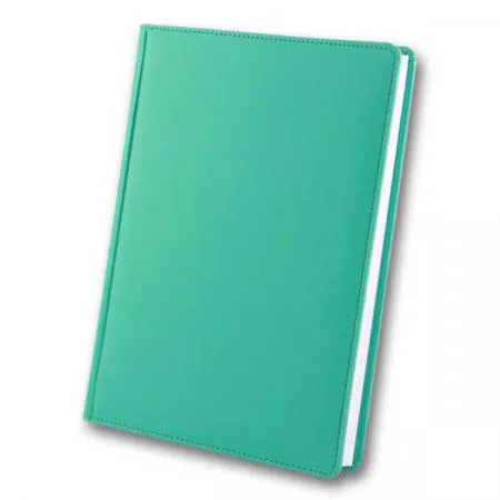 VIENNA щоденник недат А мятний