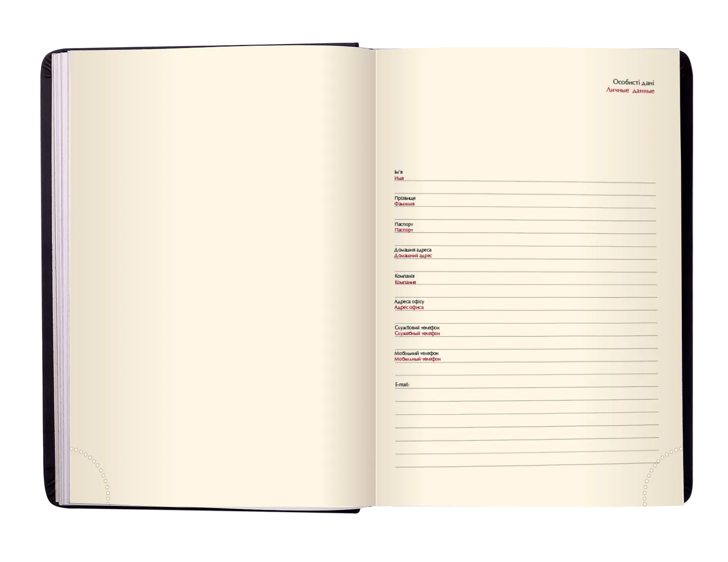 Фото товара «Дневник SALERNO A5 (синий)» №4