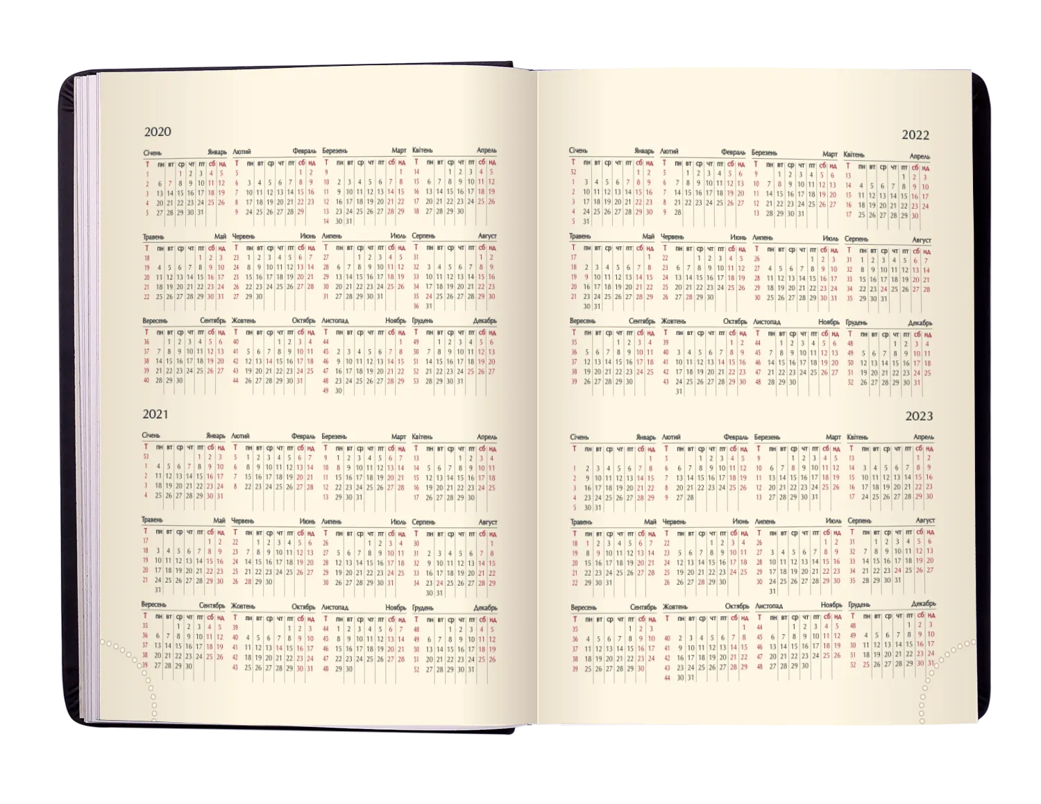 Фото товара «Дневник IDEAL A5 (синий)» №6